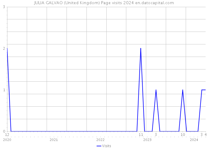 JULIA GALVAO (United Kingdom) Page visits 2024 