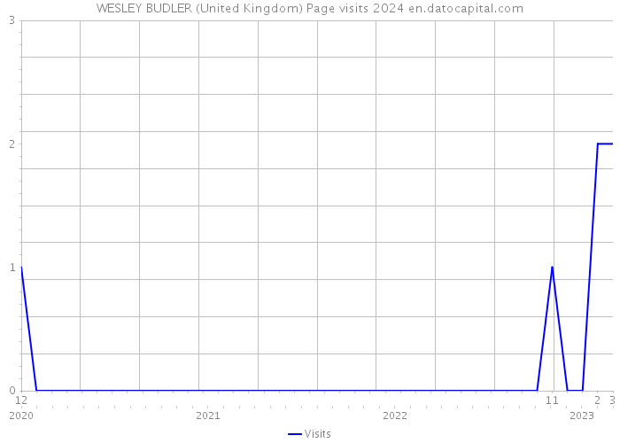 WESLEY BUDLER (United Kingdom) Page visits 2024 