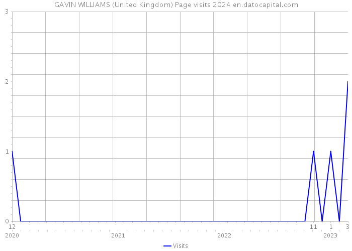 GAVIN WILLIAMS (United Kingdom) Page visits 2024 