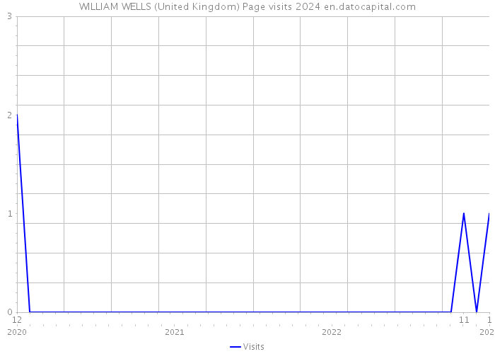 WILLIAM WELLS (United Kingdom) Page visits 2024 