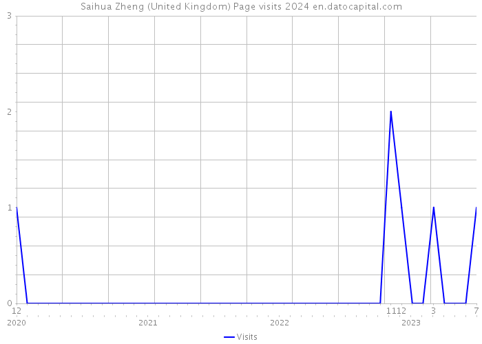 Saihua Zheng (United Kingdom) Page visits 2024 