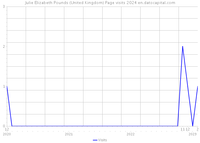 Julie Elizabeth Pounds (United Kingdom) Page visits 2024 