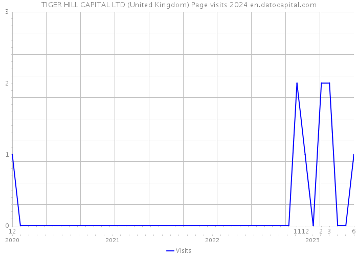 TIGER HILL CAPITAL LTD (United Kingdom) Page visits 2024 