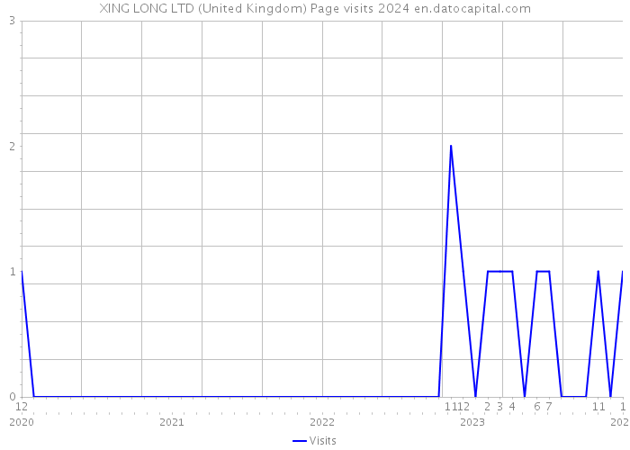 XING LONG LTD (United Kingdom) Page visits 2024 
