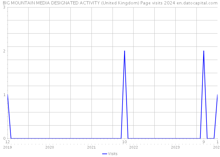 BIG MOUNTAIN MEDIA DESIGNATED ACTIVITY (United Kingdom) Page visits 2024 