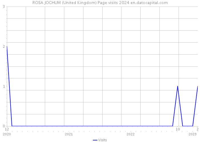 ROSA JOCHUM (United Kingdom) Page visits 2024 