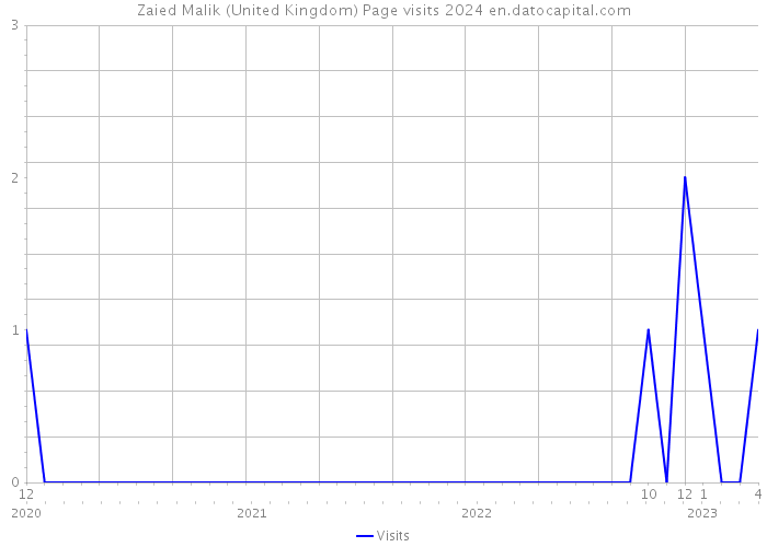 Zaied Malik (United Kingdom) Page visits 2024 