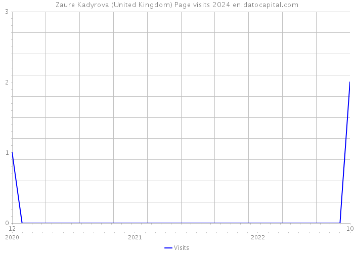 Zaure Kadyrova (United Kingdom) Page visits 2024 