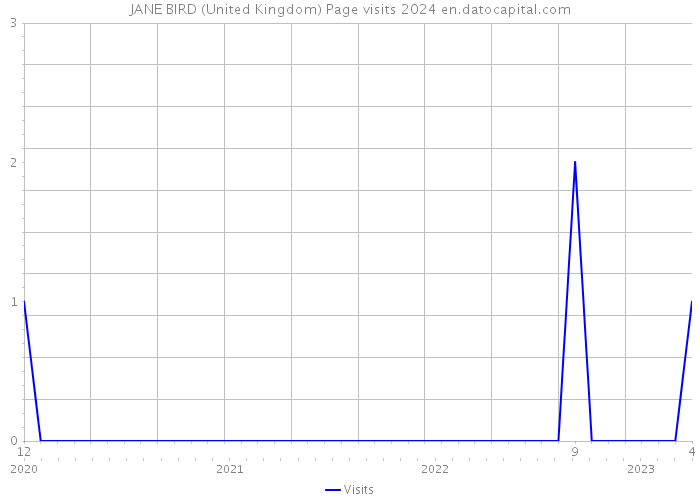 JANE BIRD (United Kingdom) Page visits 2024 