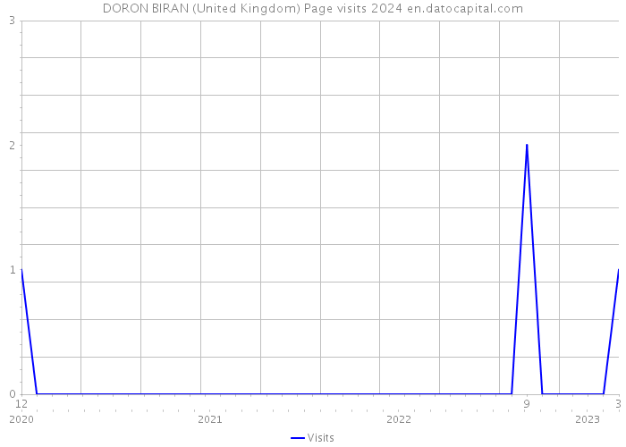 DORON BIRAN (United Kingdom) Page visits 2024 