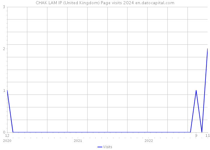 CHAK LAM IP (United Kingdom) Page visits 2024 