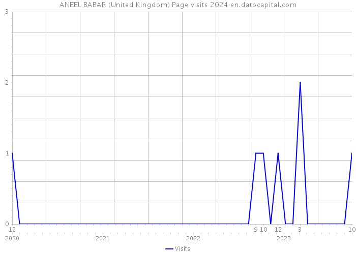 ANEEL BABAR (United Kingdom) Page visits 2024 