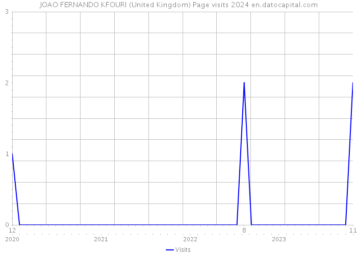 JOAO FERNANDO KFOURI (United Kingdom) Page visits 2024 
