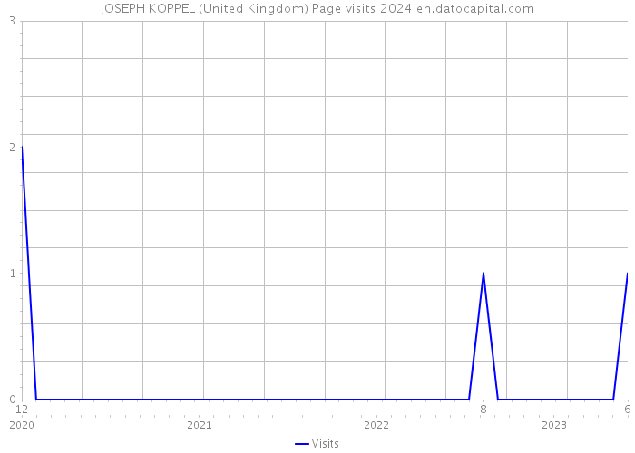 JOSEPH KOPPEL (United Kingdom) Page visits 2024 