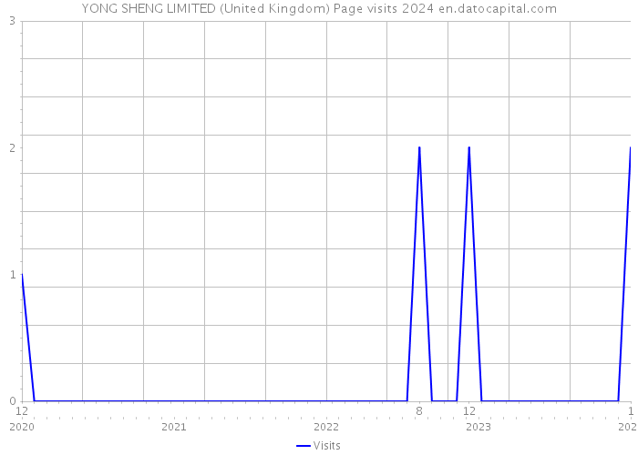 YONG SHENG LIMITED (United Kingdom) Page visits 2024 