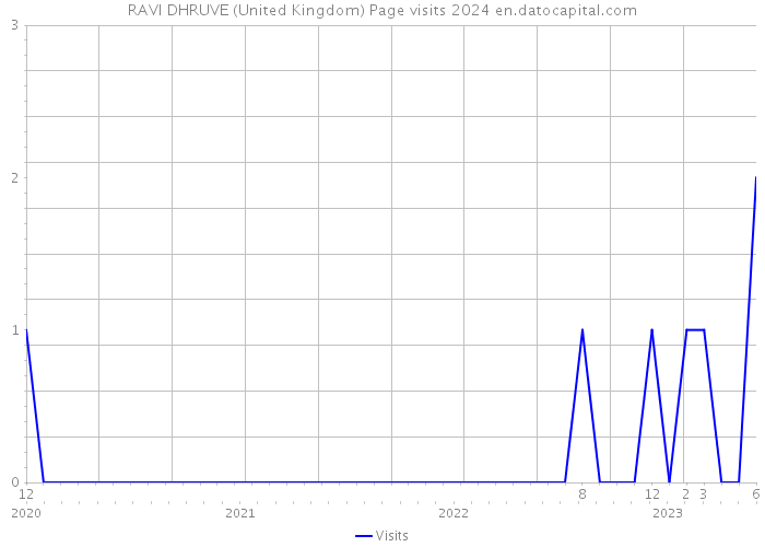 RAVI DHRUVE (United Kingdom) Page visits 2024 