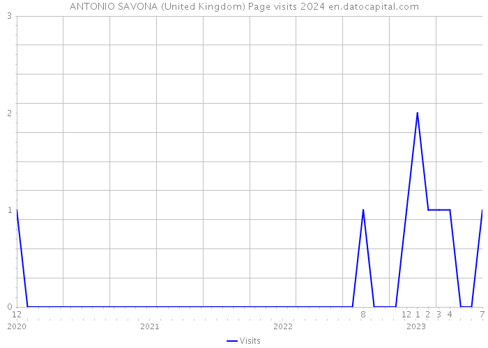 ANTONIO SAVONA (United Kingdom) Page visits 2024 