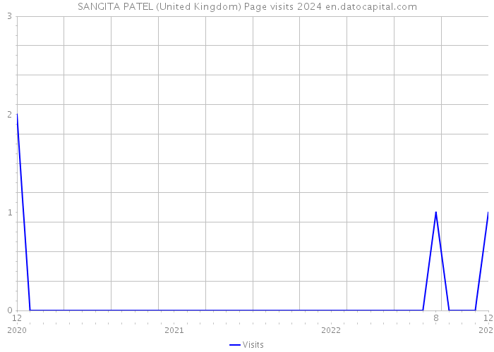 SANGITA PATEL (United Kingdom) Page visits 2024 