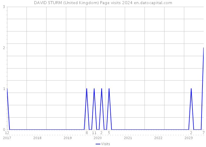 DAVID STURM (United Kingdom) Page visits 2024 