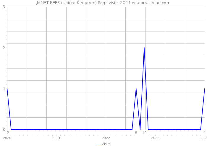 JANET REES (United Kingdom) Page visits 2024 