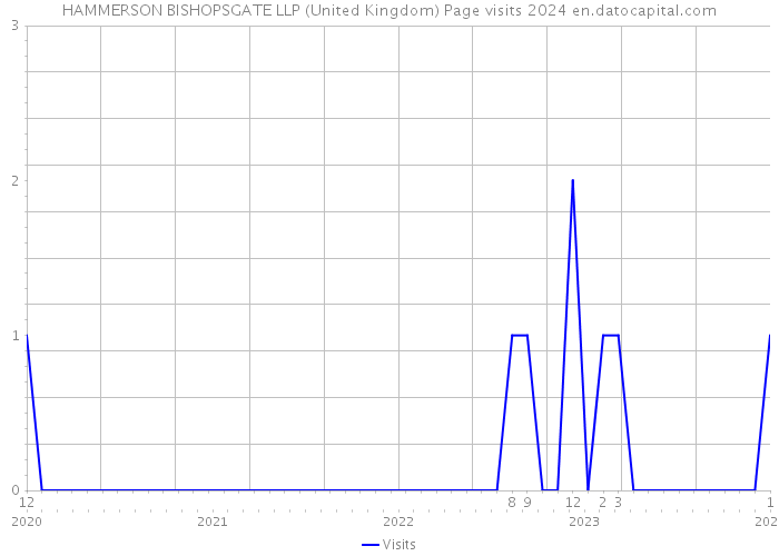 HAMMERSON BISHOPSGATE LLP (United Kingdom) Page visits 2024 