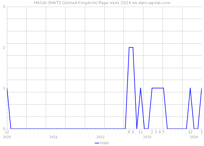 HAGAI SHATZ (United Kingdom) Page visits 2024 