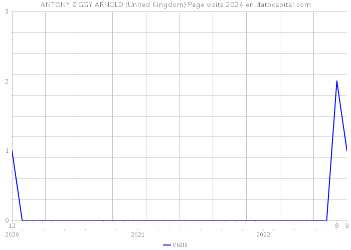 ANTONY ZIGGY ARNOLD (United Kingdom) Page visits 2024 