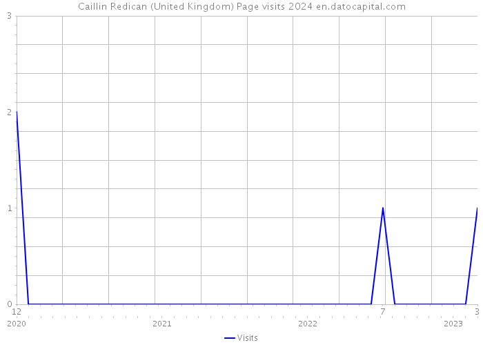 Caillin Redican (United Kingdom) Page visits 2024 