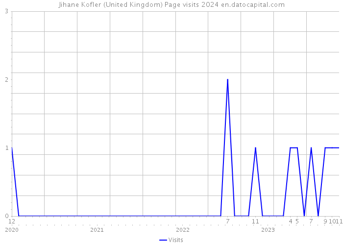 Jihane Kofler (United Kingdom) Page visits 2024 
