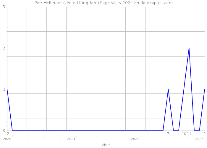 Petr Hellinger (United Kingdom) Page visits 2024 