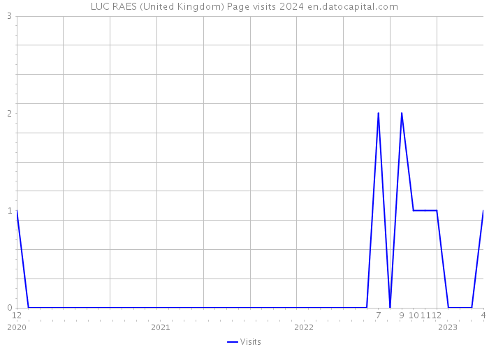 LUC RAES (United Kingdom) Page visits 2024 