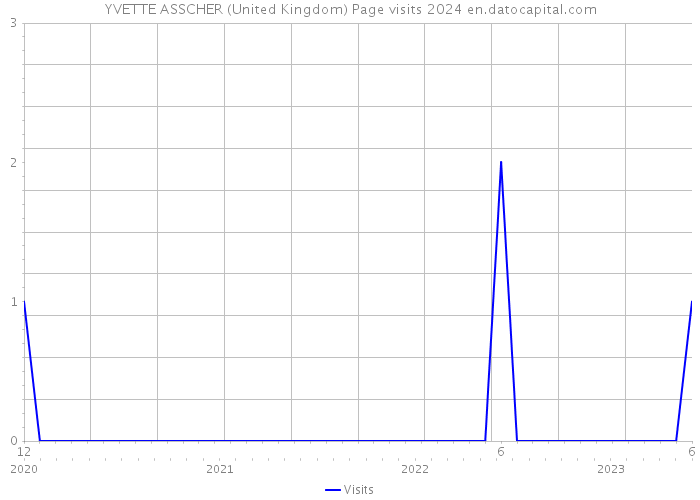 YVETTE ASSCHER (United Kingdom) Page visits 2024 