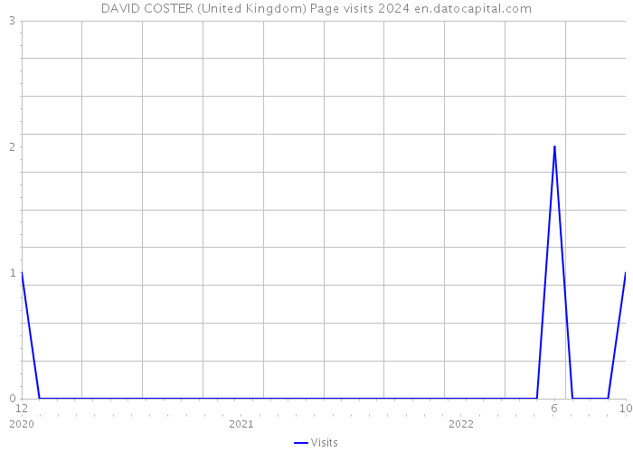 DAVID COSTER (United Kingdom) Page visits 2024 