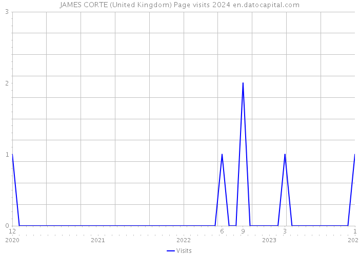 JAMES CORTE (United Kingdom) Page visits 2024 