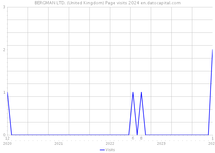 BERGMAN LTD. (United Kingdom) Page visits 2024 