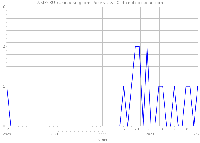 ANDY BUI (United Kingdom) Page visits 2024 