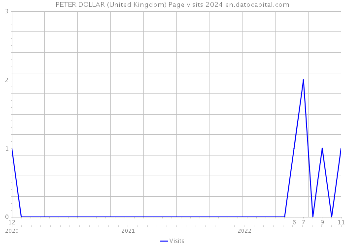 PETER DOLLAR (United Kingdom) Page visits 2024 