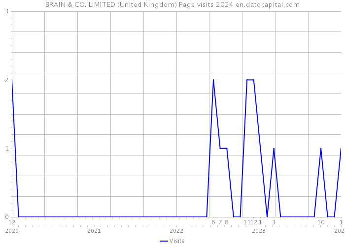 BRAIN & CO. LIMITED (United Kingdom) Page visits 2024 