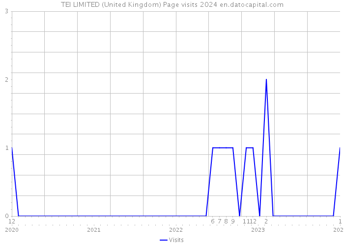 TEI LIMITED (United Kingdom) Page visits 2024 