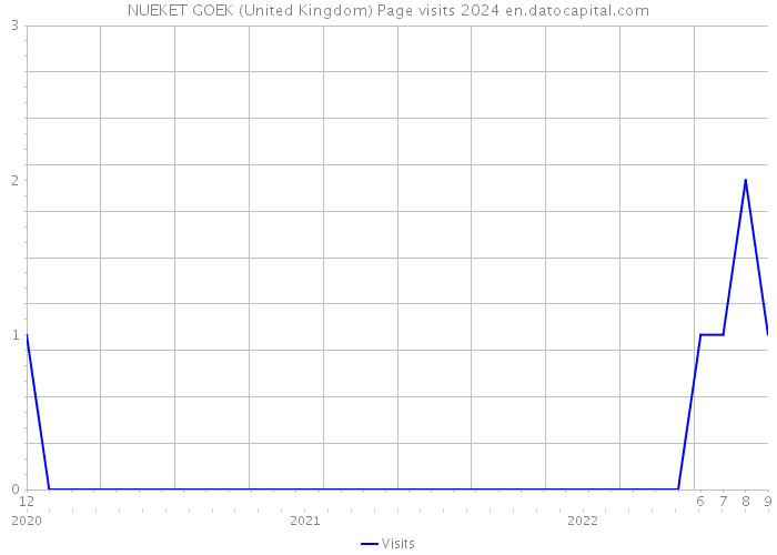 NUEKET GOEK (United Kingdom) Page visits 2024 