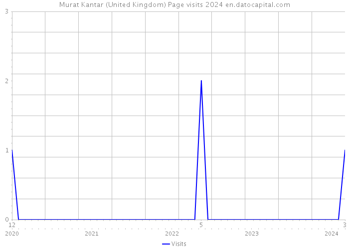 Murat Kantar (United Kingdom) Page visits 2024 