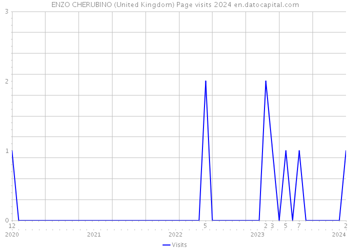 ENZO CHERUBINO (United Kingdom) Page visits 2024 