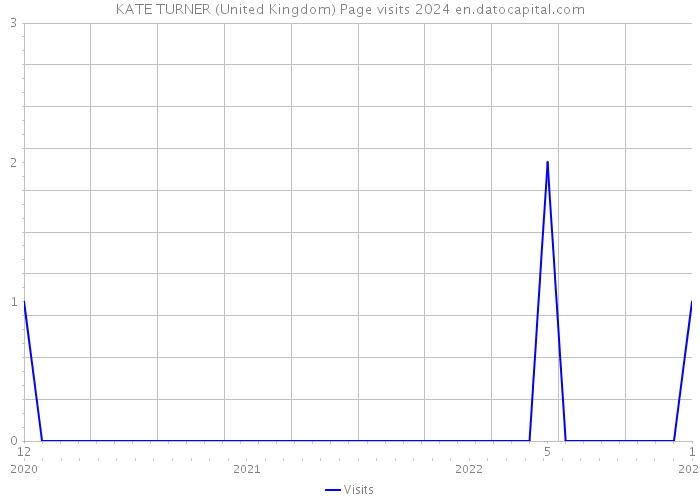 KATE TURNER (United Kingdom) Page visits 2024 