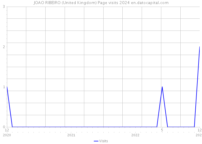 JOAO RIBEIRO (United Kingdom) Page visits 2024 