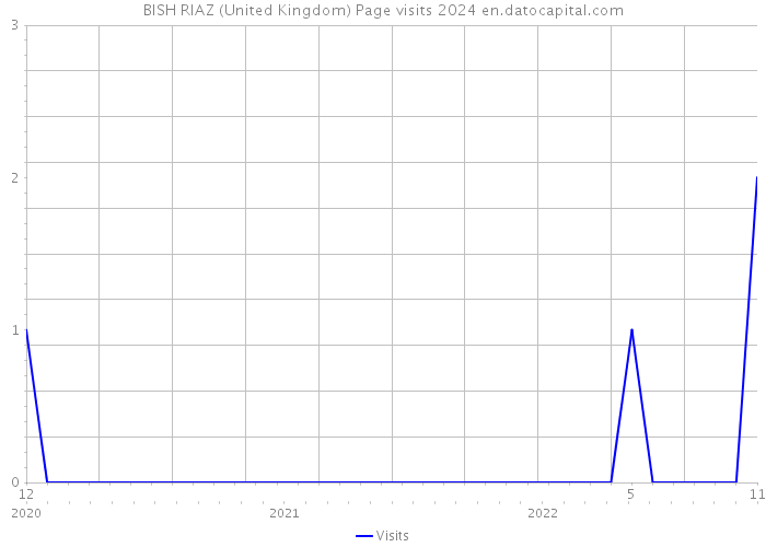BISH RIAZ (United Kingdom) Page visits 2024 