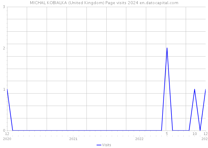 MICHAL KOBIALKA (United Kingdom) Page visits 2024 