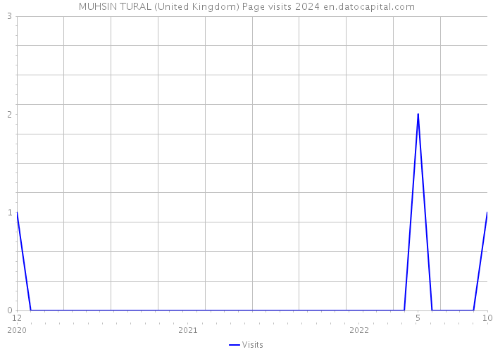MUHSIN TURAL (United Kingdom) Page visits 2024 