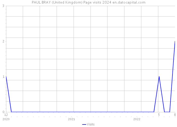 PAUL BRAY (United Kingdom) Page visits 2024 