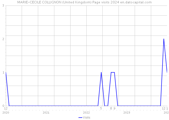 MARIE-CECILE COLLIGNON (United Kingdom) Page visits 2024 