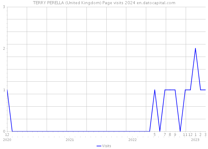TERRY PERELLA (United Kingdom) Page visits 2024 